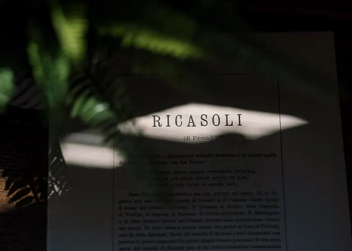 Accademia Luxury Art *